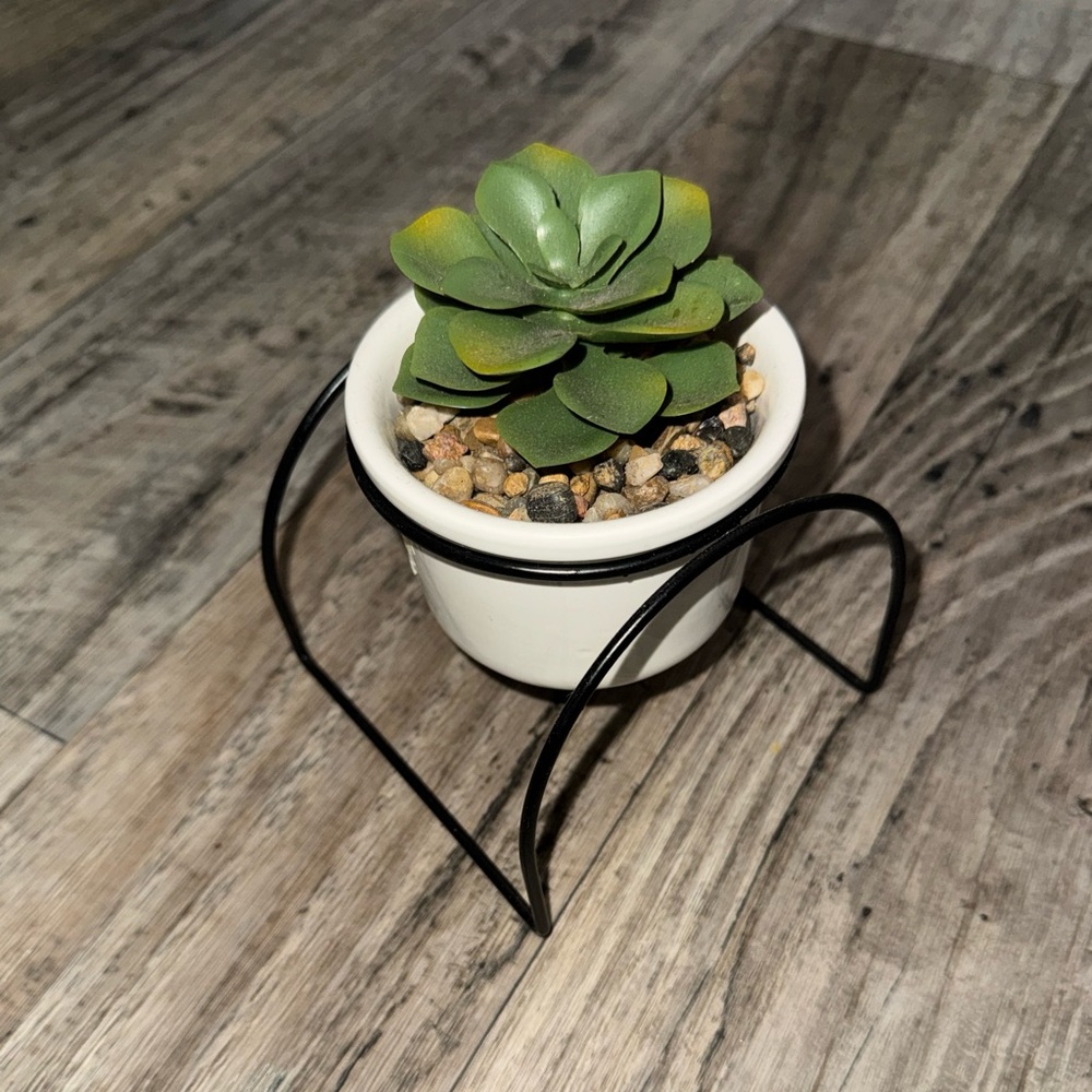 Plant decor